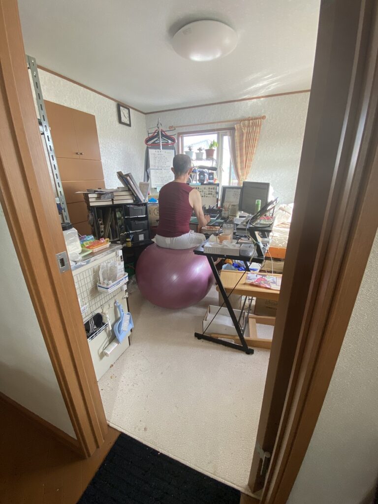 椅子代わりにバランスボールに座ってパソコン作業をしてる後ろ姿