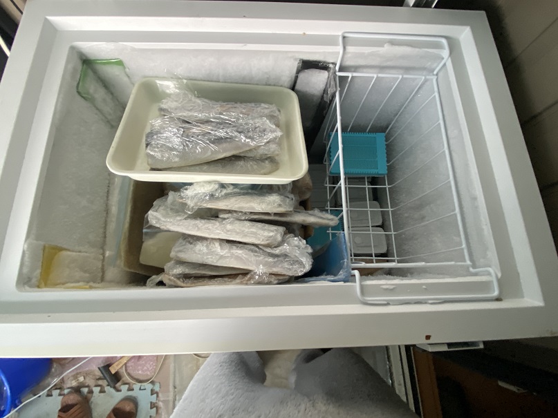 冷凍庫に保存する塩サバ