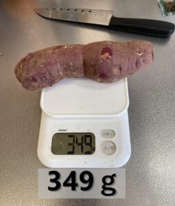 サツマイモの重さ測定
