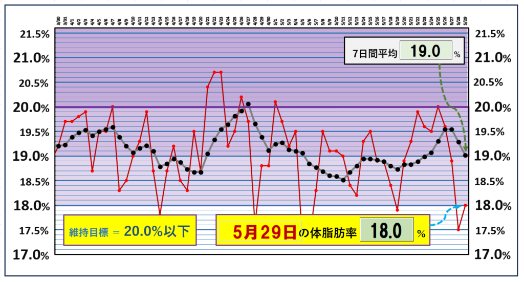 体脂肪率20％以下を目標にしたグラ