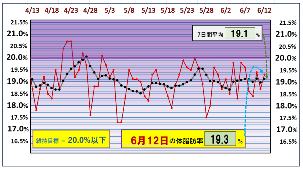 体脂肪率20％以下を目標にしたグラフ