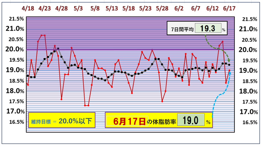 体脂肪率20％以下を目標にしたグラフ