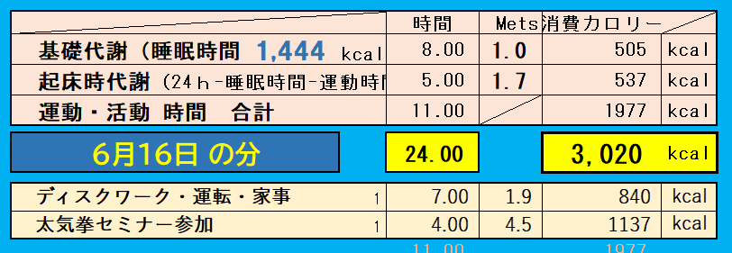 1日の消費カロリーの合計値の画像