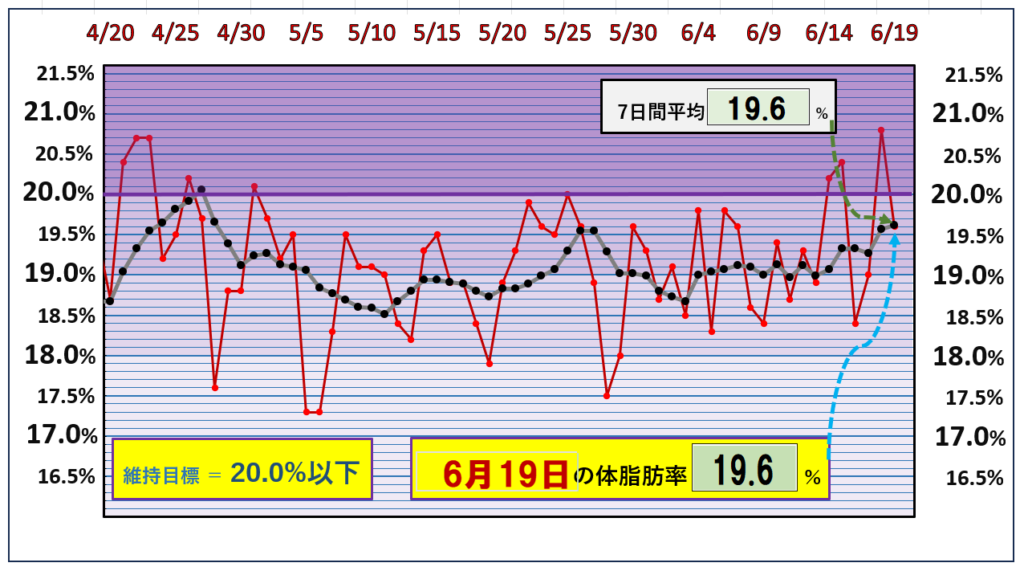 体脂肪率20％以下を目標にしたグラフ