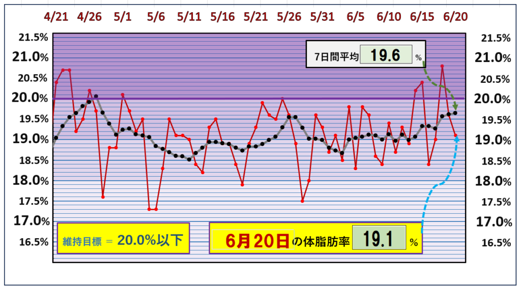 体脂肪率20％以下を目標にしたグラフ