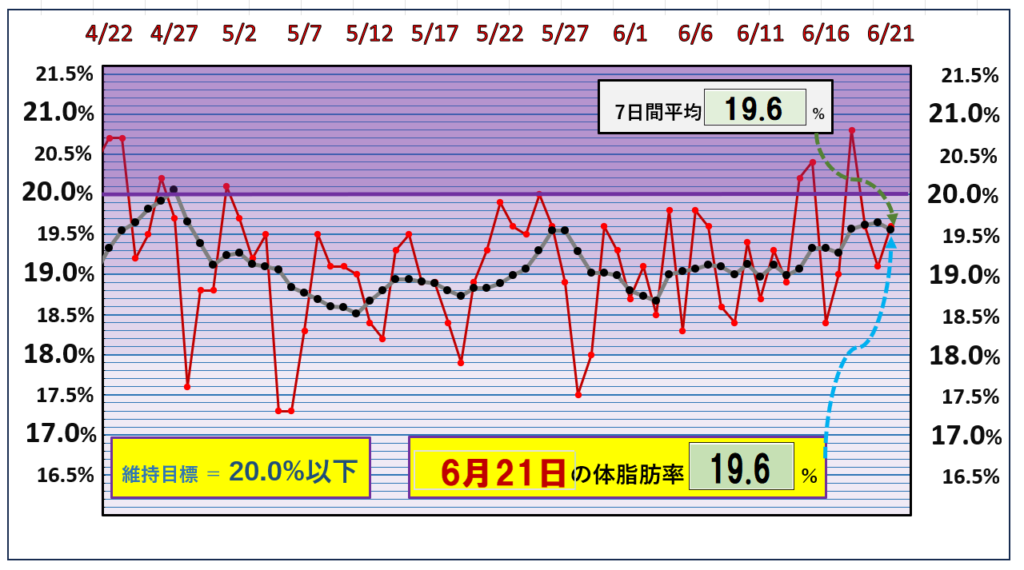 体脂肪率20％以下を目標にしたグラフ