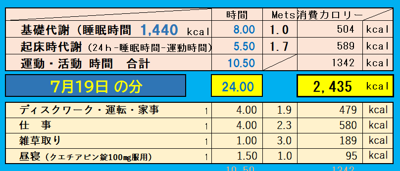 1日の消費カロリーの合計値の画像