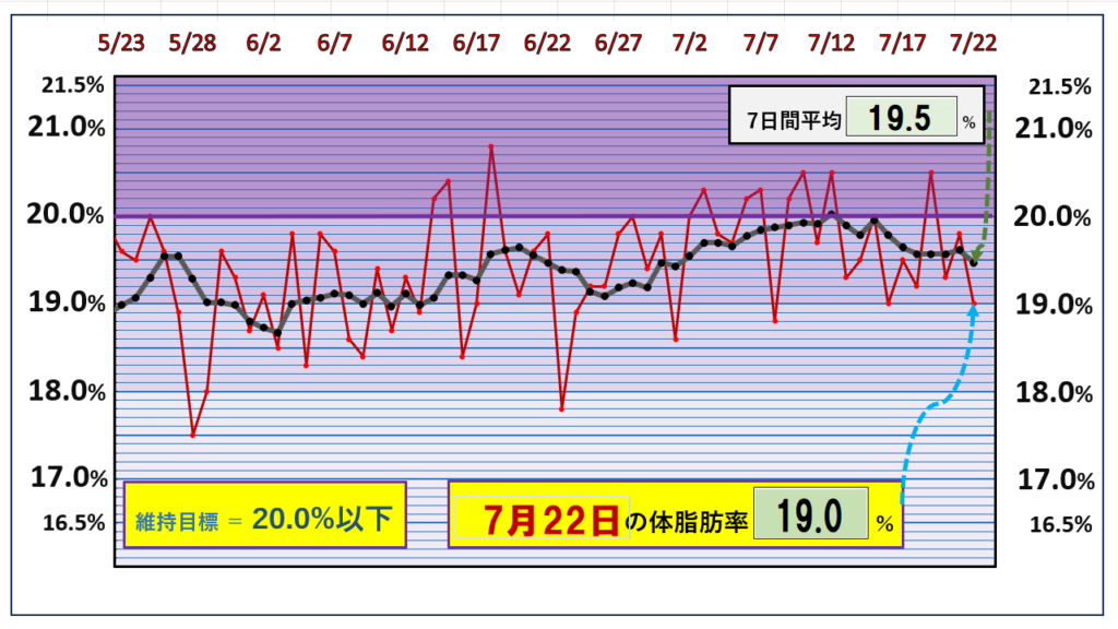 体脂肪率20％以下を目標にしたグラフ