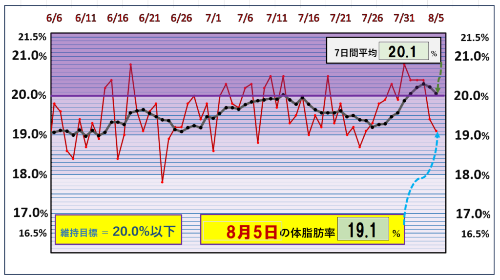 体脂肪率20％以下を目標にしたグラフ