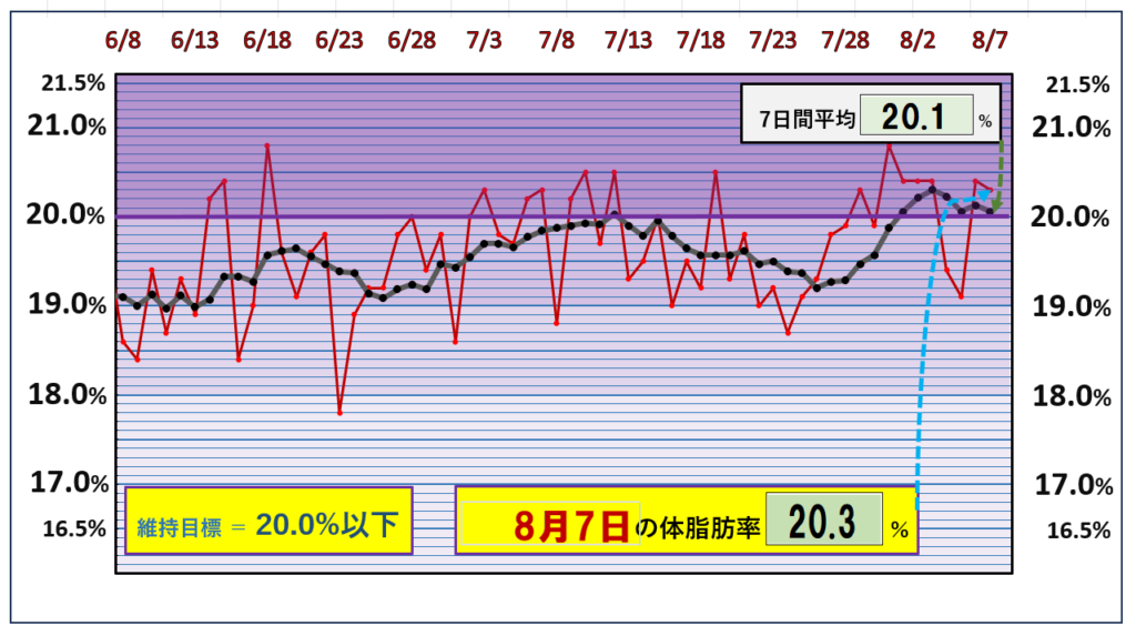 体脂肪率20％以下を目標にしたグラフ