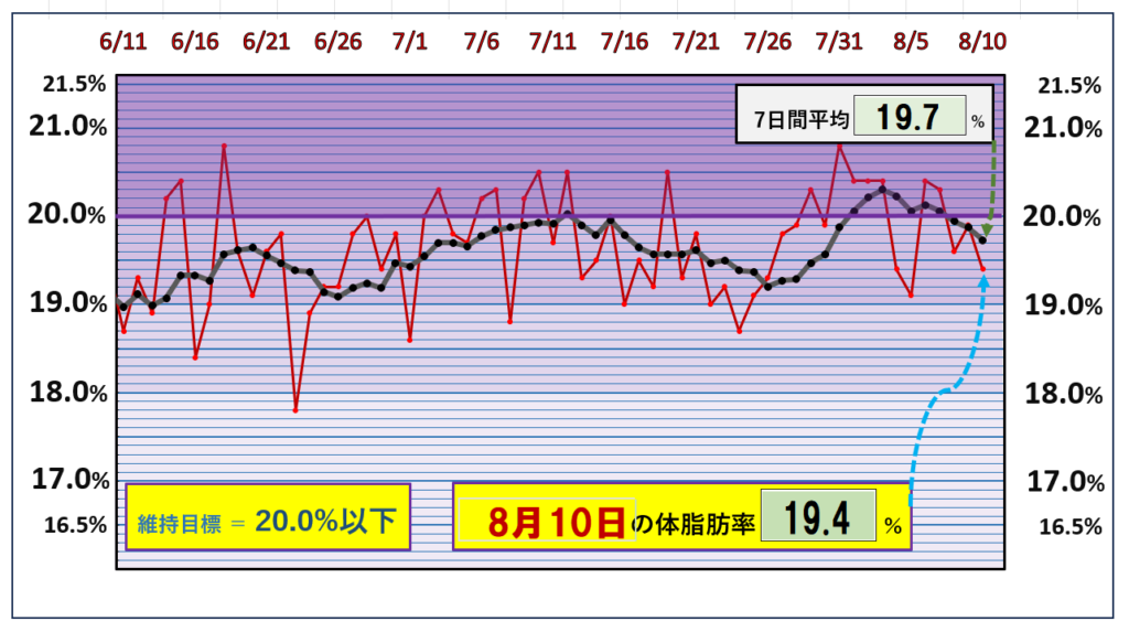 体脂肪率20％以下を目標にしたグラフ