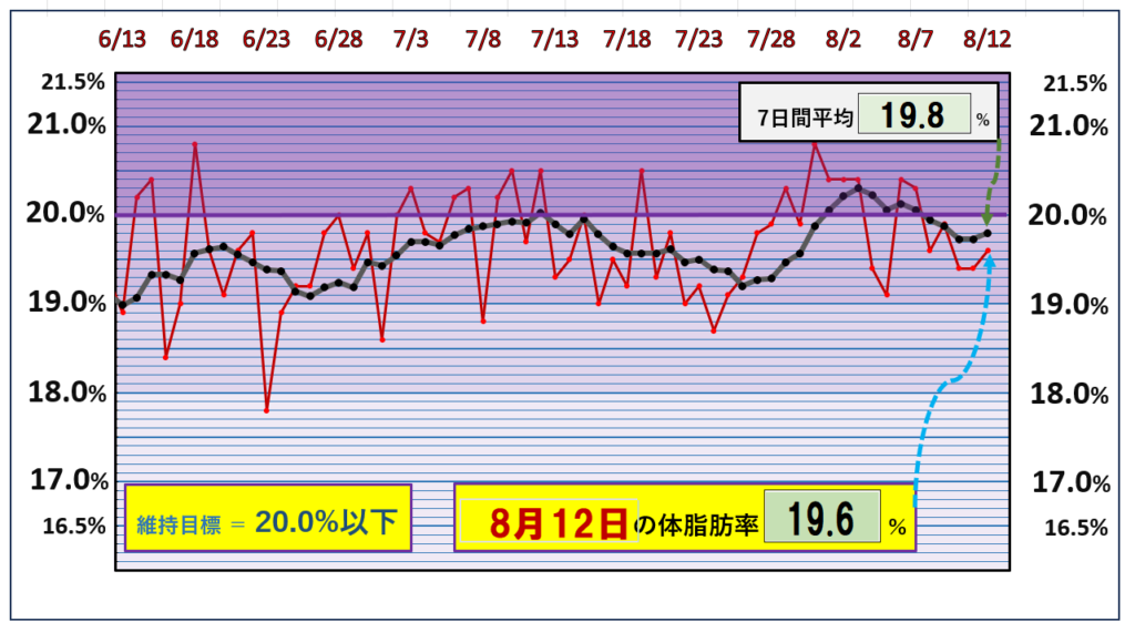 体脂肪率20％以下を目標にしたグラフ