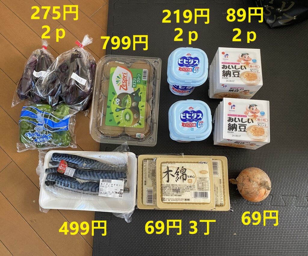 9月1日の買い物