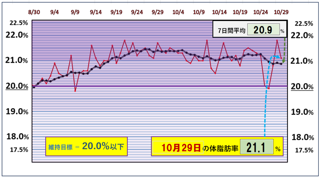 体脂肪率20％以下を目標にしたグラフ『10月29日』