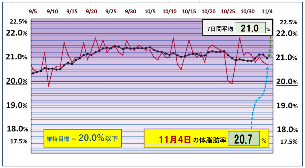 体脂肪率20％以下を目標にしたグラフ『11月4日』