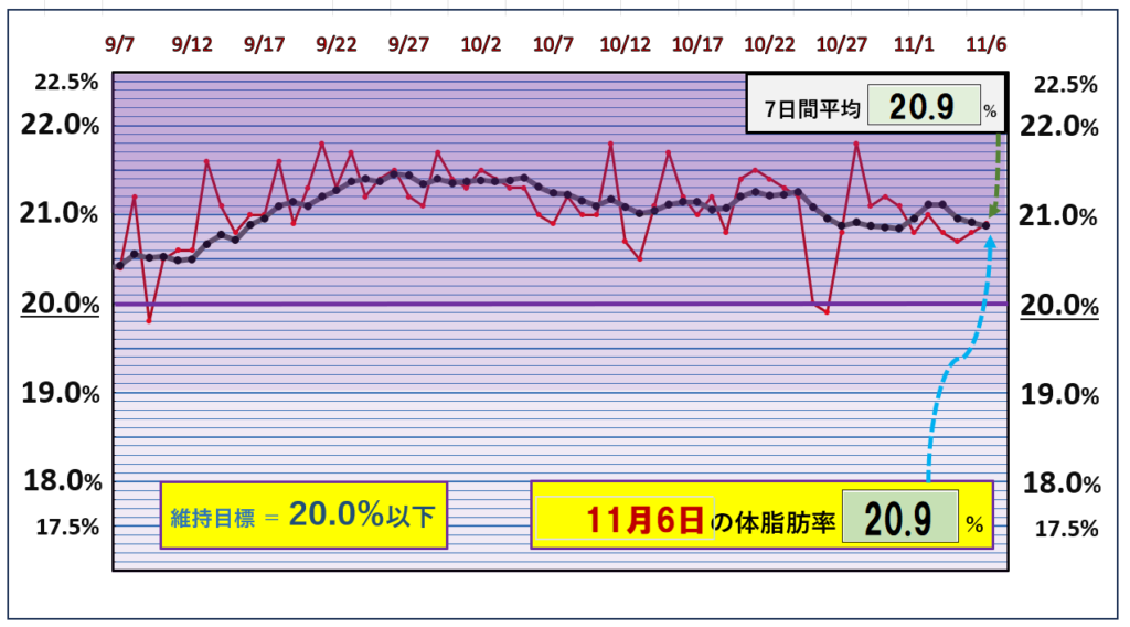 体脂肪率20％以下を目標にしたグラフ『11月6日』