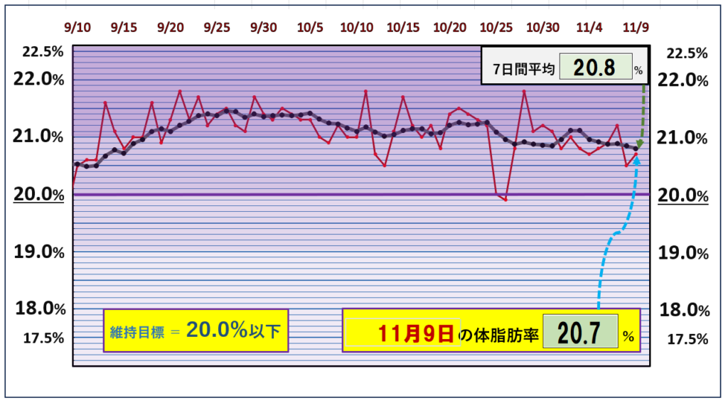 体脂肪率20％以下を目標にしたグラフ『11月9日』