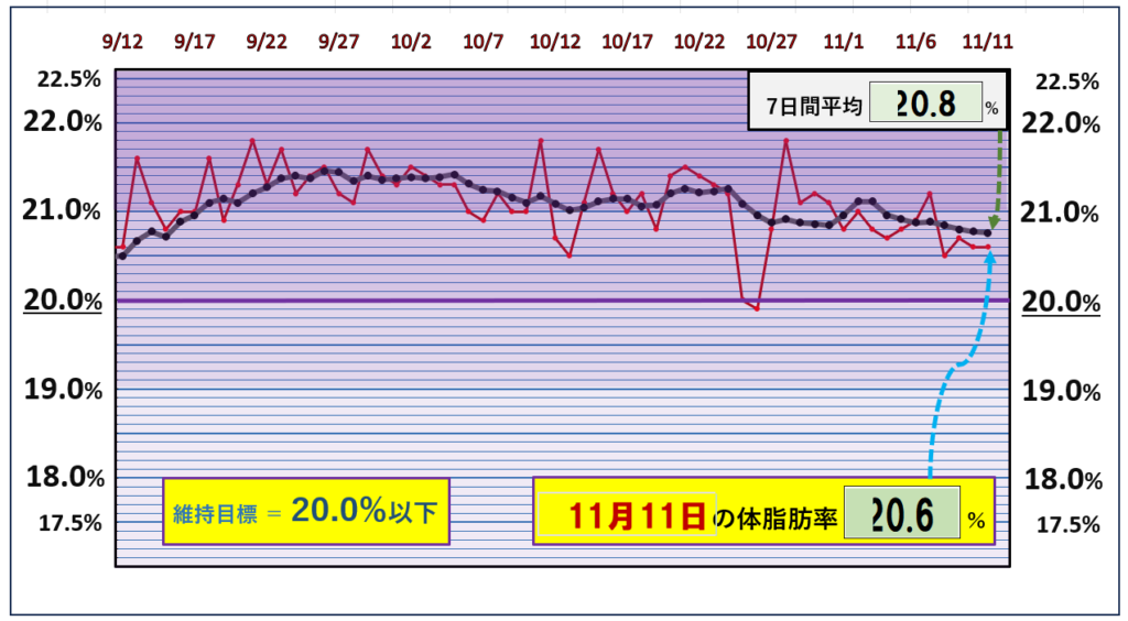 体脂肪率20％以下を目標にしたグラフ『11月11日』