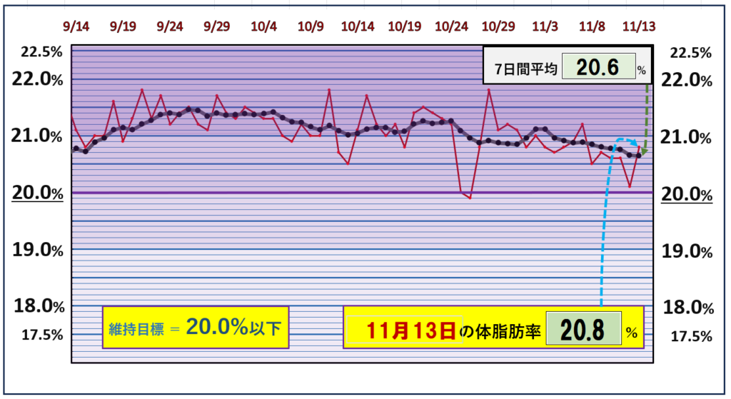 体脂肪率20％以下を目標にしたグラフ『11月13日』