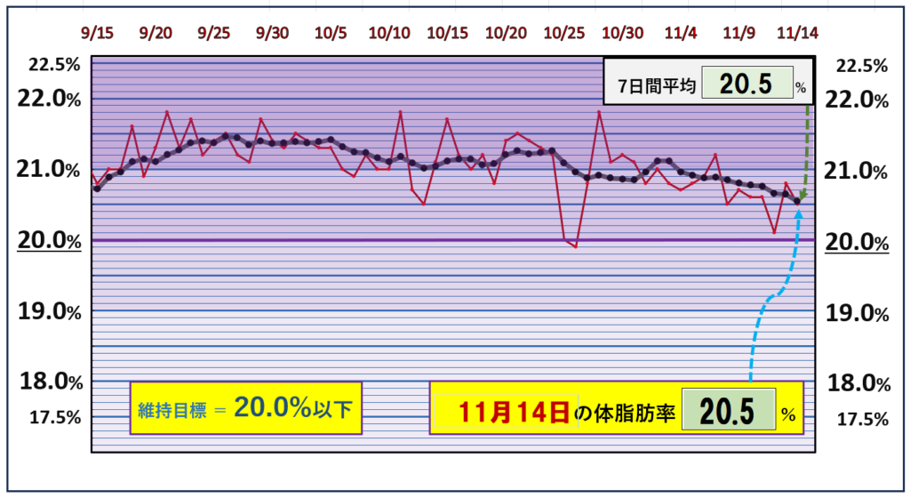 体脂肪率20％以下を目標にしたグラフ『11月14日』