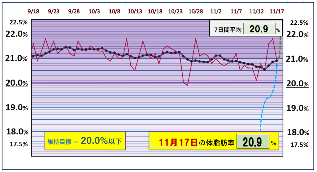 体脂肪率20％以下を目標にしたグラフ『11月17日』