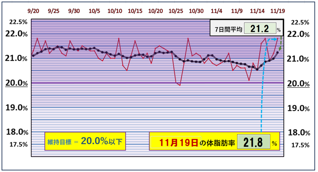 体脂肪率20％以下を目標にしたグラフ『11月19日』