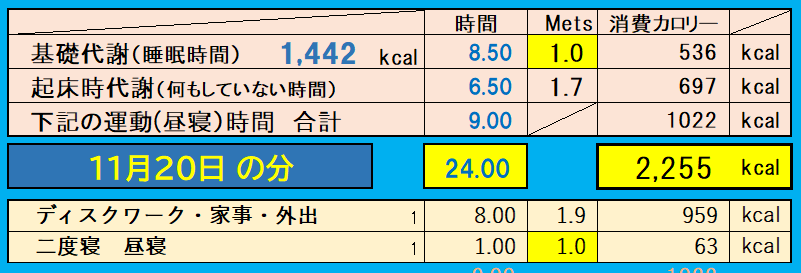 消費カロリーの合計値の画像『11月20日』