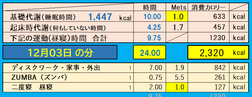 消費カロリーの合計値の画像『12月3日』