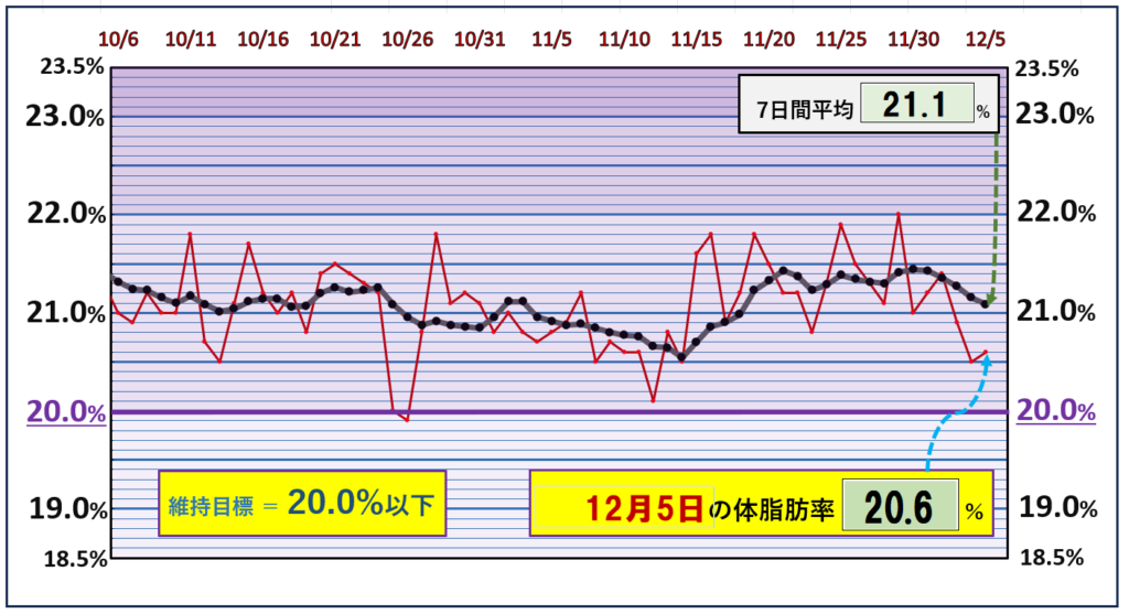 体脂肪率20％以下を目標にしたグラフ『12月5日』