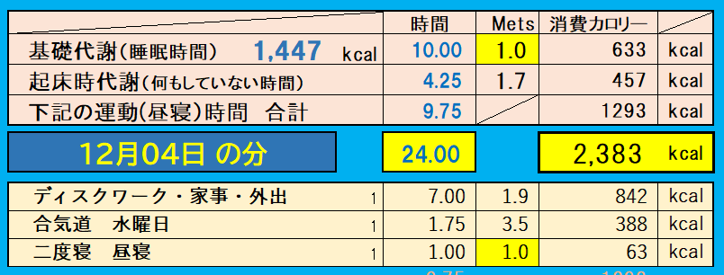 消費カロリーの合計値の画像『12月4日』