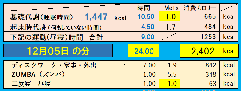 消費カロリーの合計値の画像『12月5日』