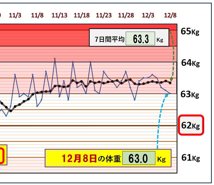 体脂肪率20％以下を目標にしたグラフ『12月8日』