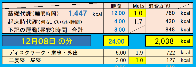 消費カロリーの合計値の画像『12月8日』