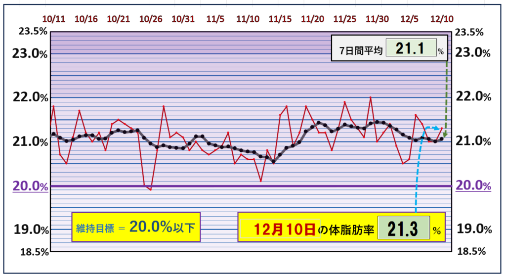 体脂肪率20％以下を目標にしたグラフ『12月10日』