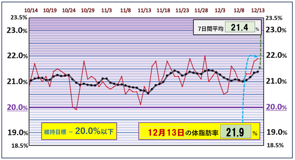 体脂肪率20％以下を目標にしたグラフ『12月13日』