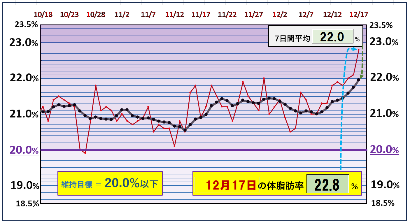 体脂肪率20％以下を目標にしたグラフ『12月17日』