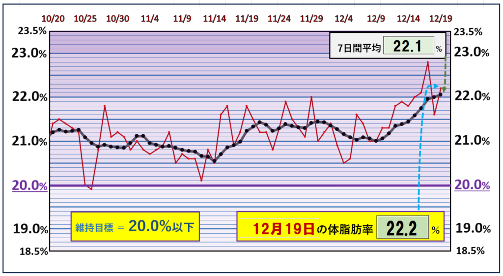 体脂肪率20％以下を目標にしたグラフ『12月19日』