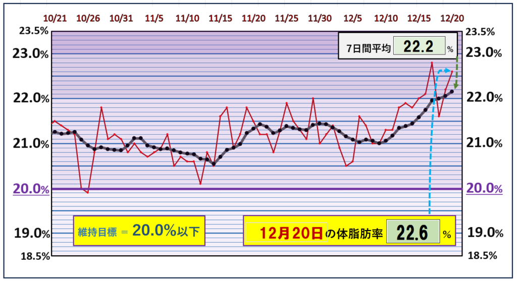 体脂肪率20％以下を目標にしたグラフ『12月20日』