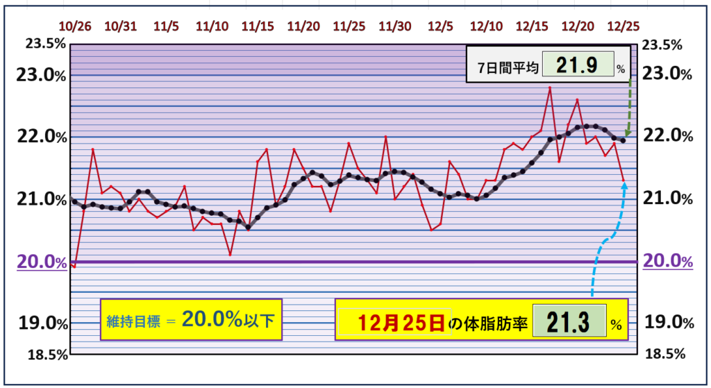 体脂肪率20％以下を目標にしたグラフ『12月25日』