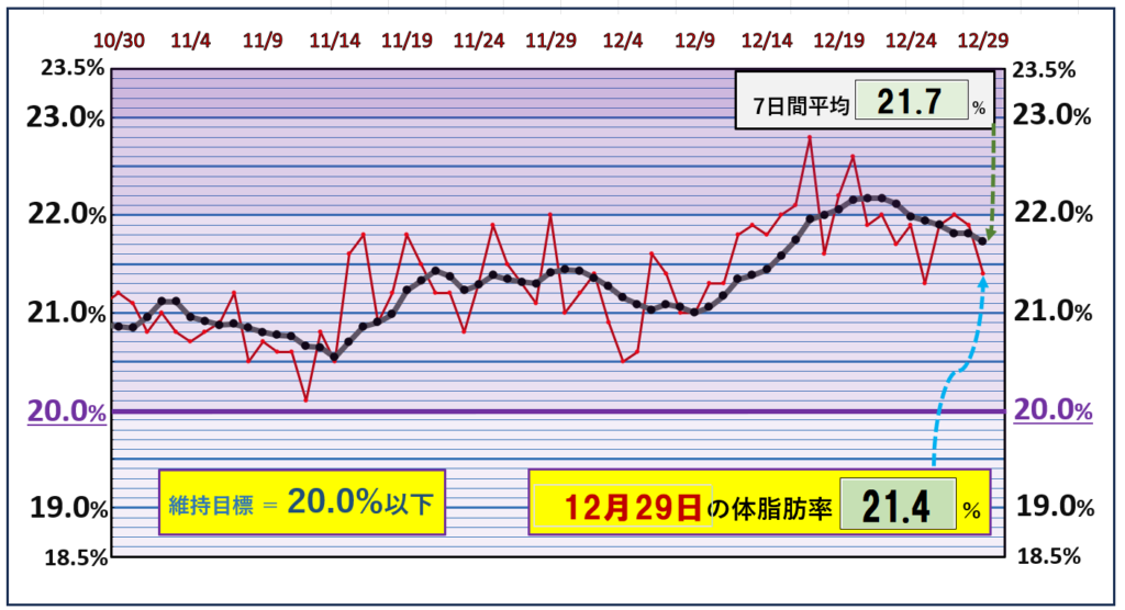 体脂肪率20％以下を目標にしたグラフ『12月29日』