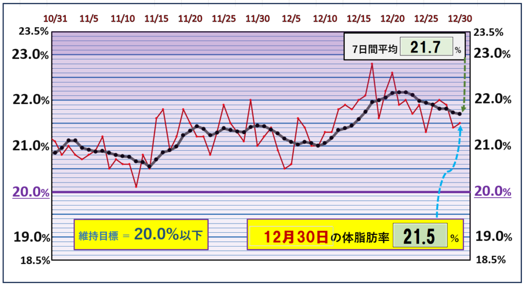 体脂肪率20％以下を目標にしたグラフ『12月30日』