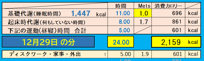 消費カロリーの合計値の画像『12月29日』