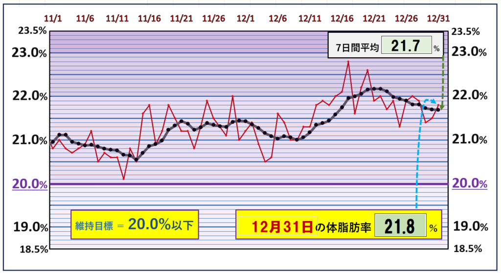 体脂肪率20％以下を目標にしたグラフ『12月31日』