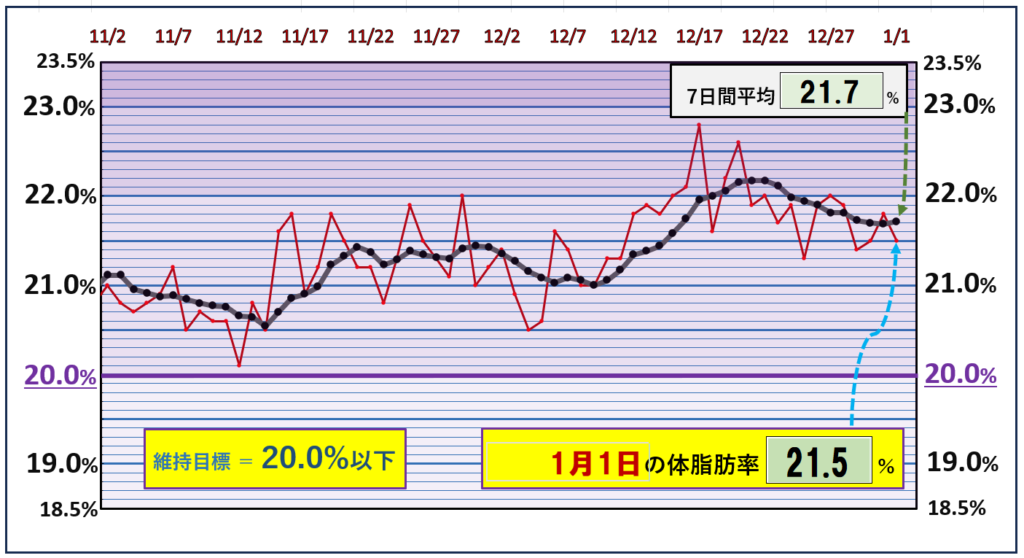 体脂肪率20％以下を目標にしたグラフ『1月1日』