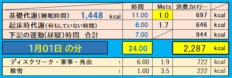 消費カロリーの合計値の画像『1月1日』