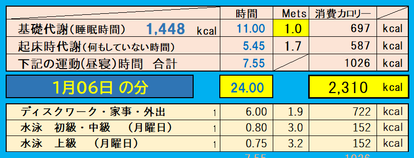 消費カロリーの合計値の画像『1月6日』