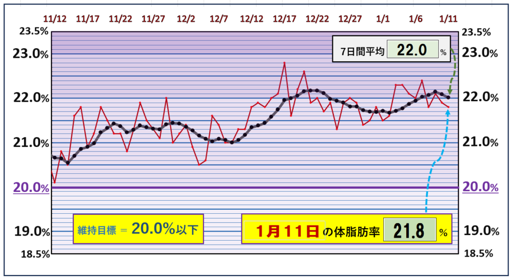 体脂肪率20％以下を目標にしたグラフ『1月11日』