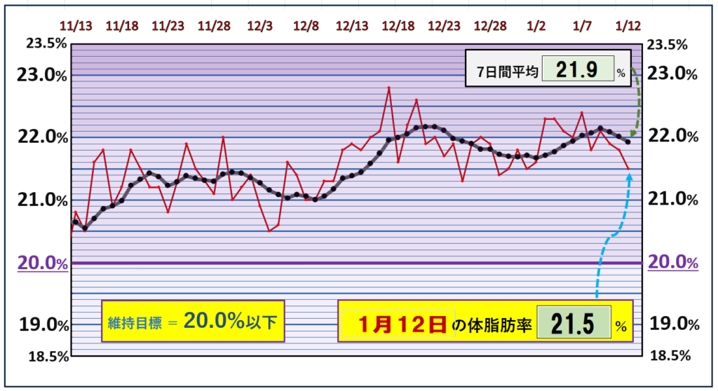 体脂肪率20％以下を目標にしたグラフ『1月12日』