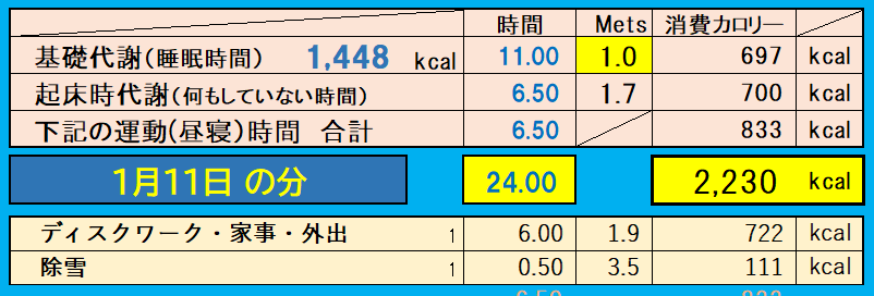 消費カロリーの合計値の画像『1月11日』