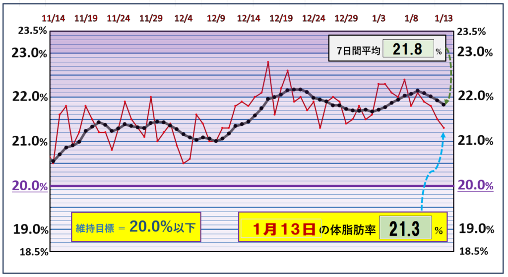 体脂肪率20％以下を目標にしたグラフ『1月13日』